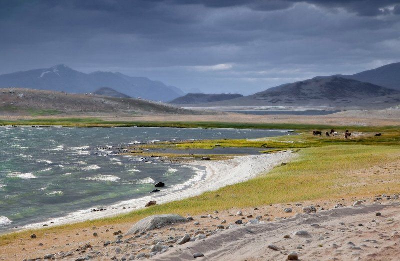 МОНГОЛЬСКАЯ ПАСТОРАЛЬНАЯ... фото превью