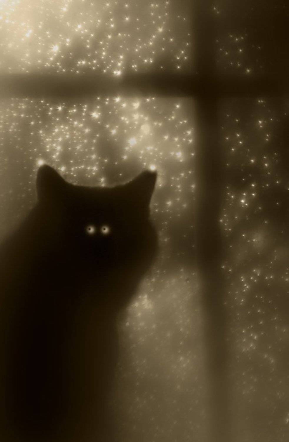 созвездие, кот, звёзды, фантазии, сказка, Татьяна Гориловская