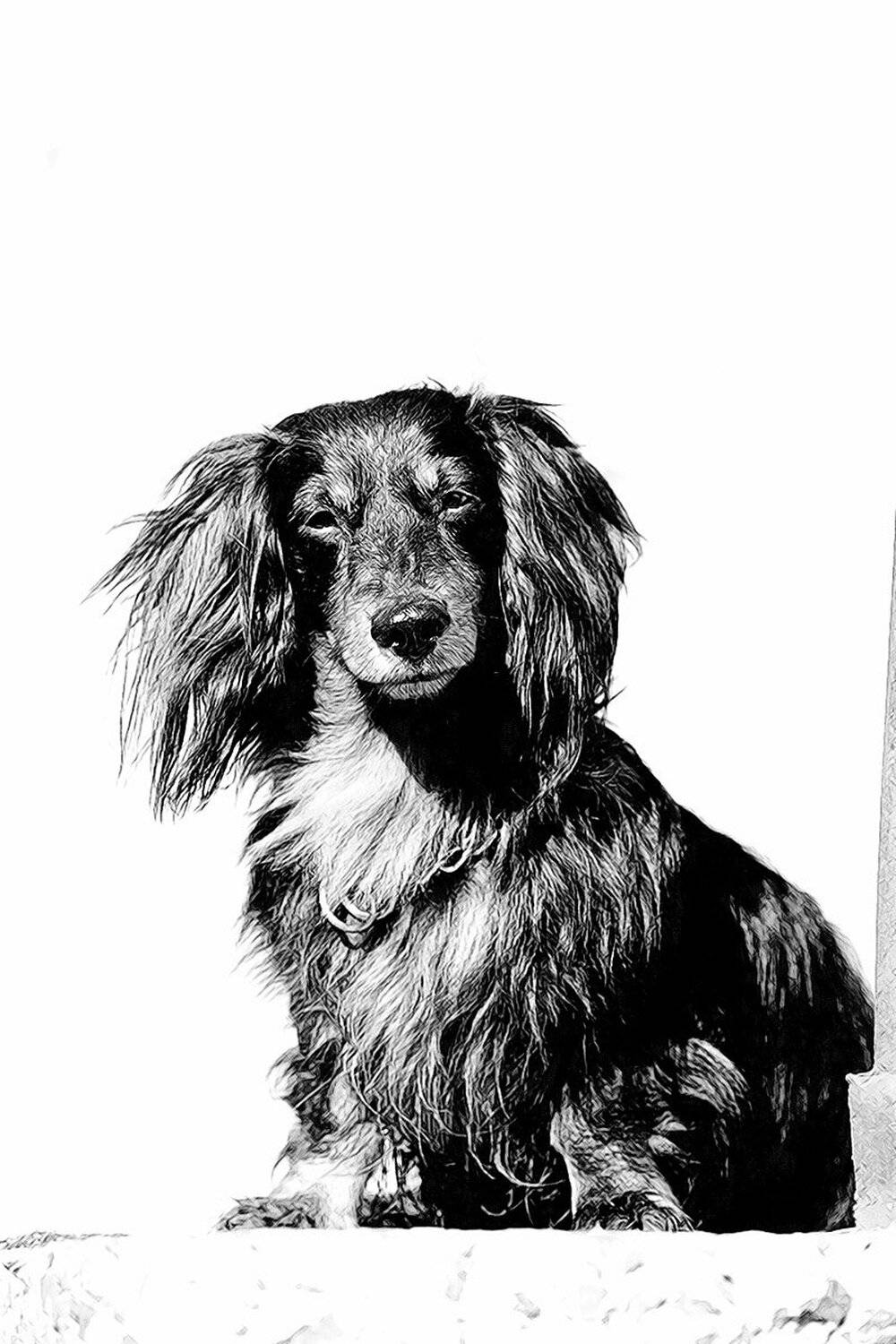 , Кузьмин Андрей