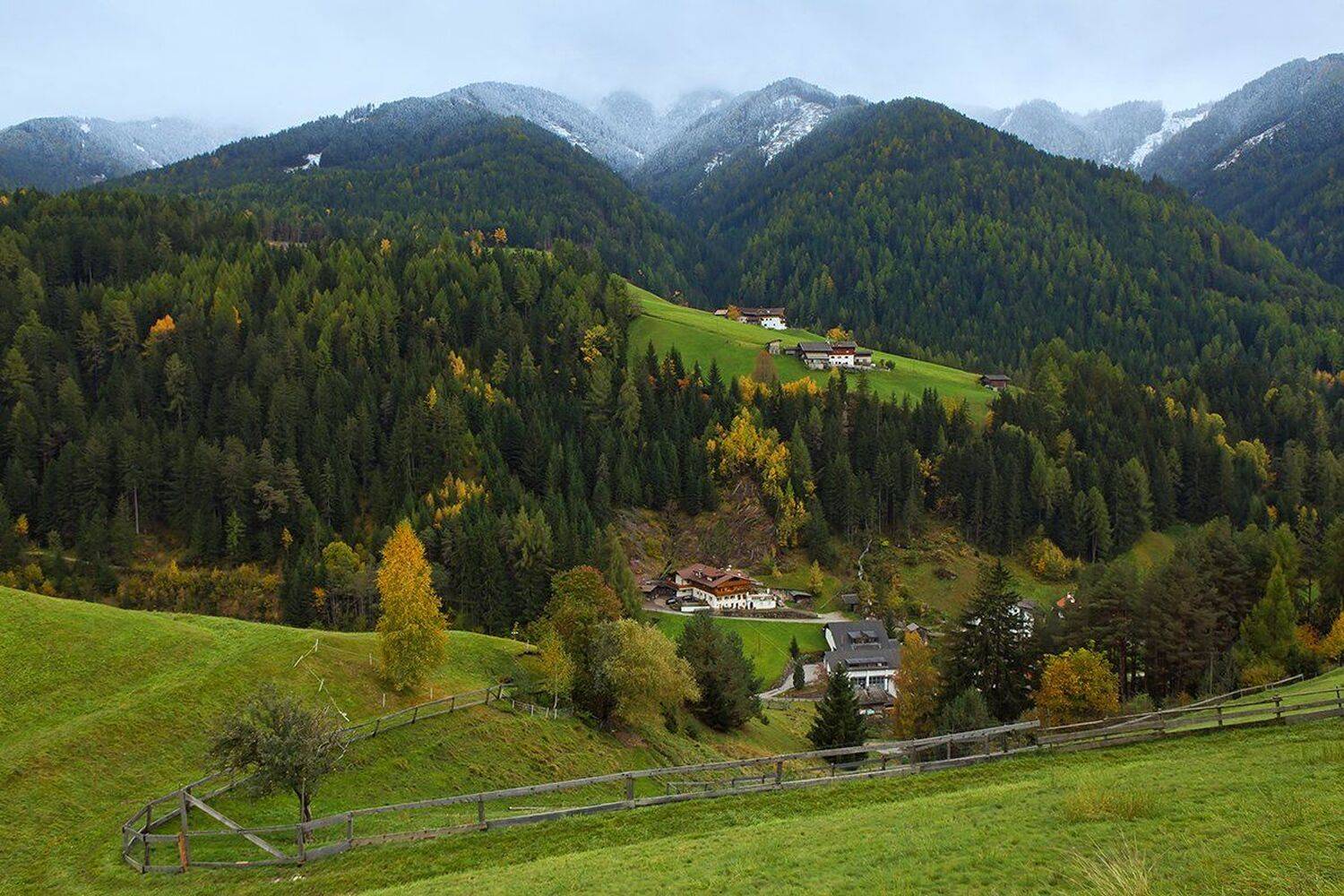 , Игорь Дубровский