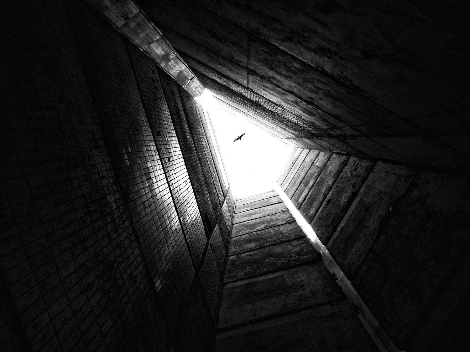 , Волков Анатолий