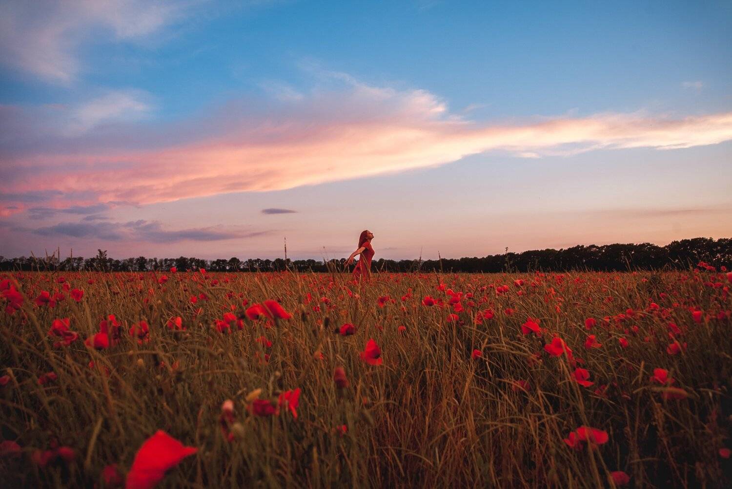 , Иван Лошицкий