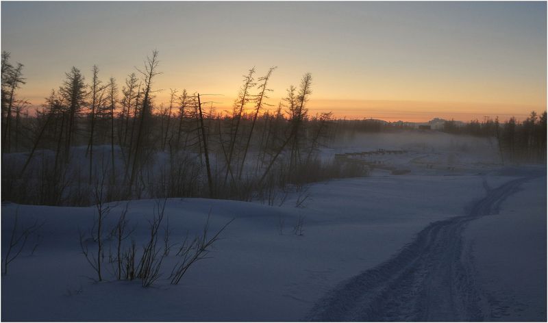 Полярная ночь на Таймыре фото превью