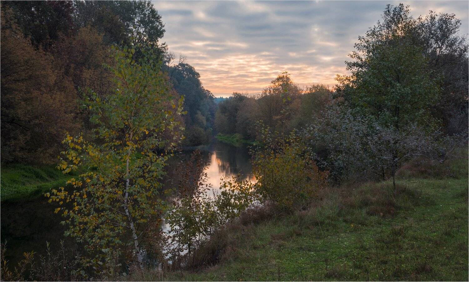 , Николай Шахманцир