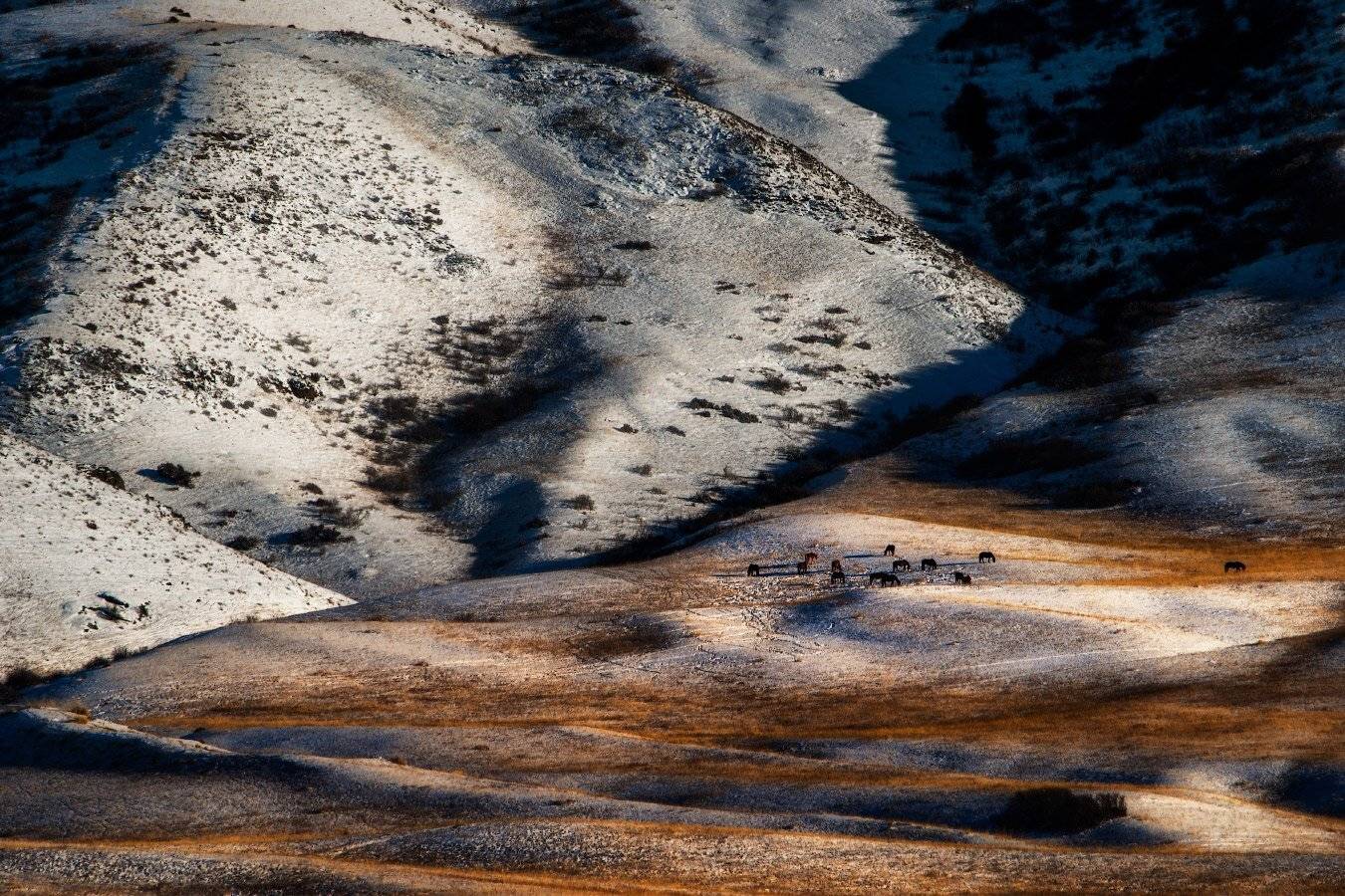 Ельчин Буйрюк, Карасаз, Тузколь, Ольга Кулакова
