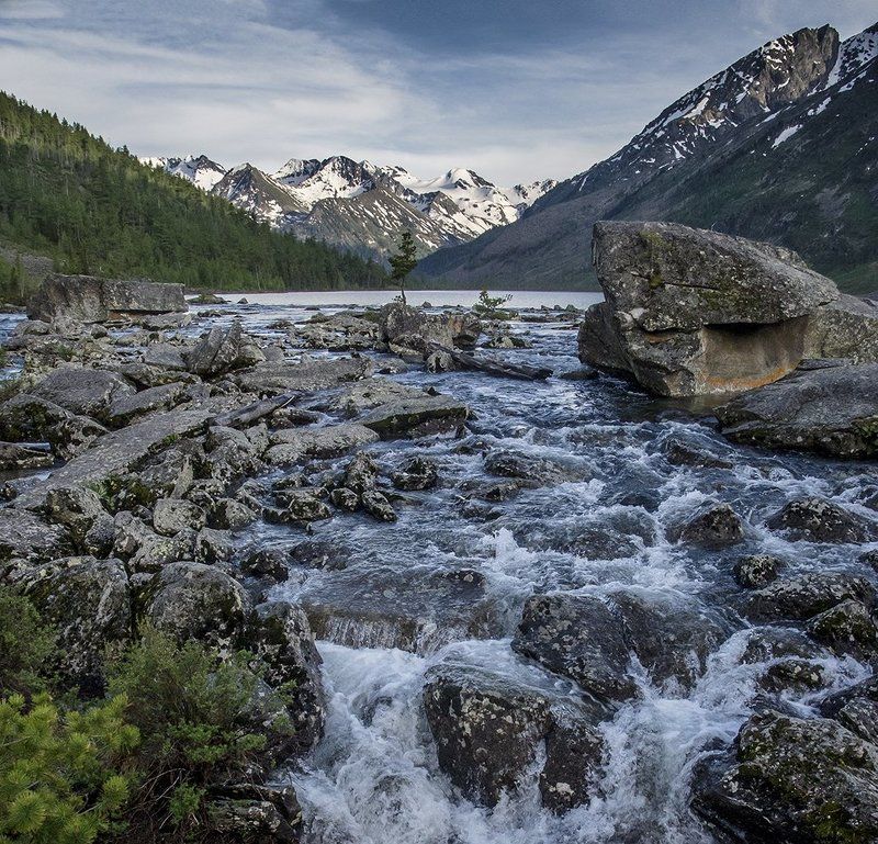 Алтай, Горы, Природа Горный Алтай. \