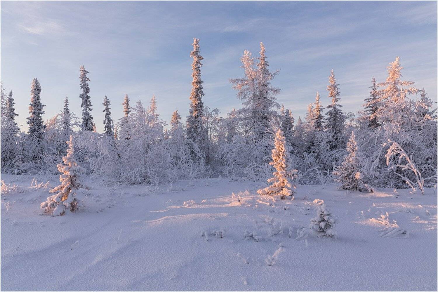 Зима, Мороз, Салехард, Север, Сибирь, Тундра, Ямал, Ямало-ненецкий автономный округ, Евгений