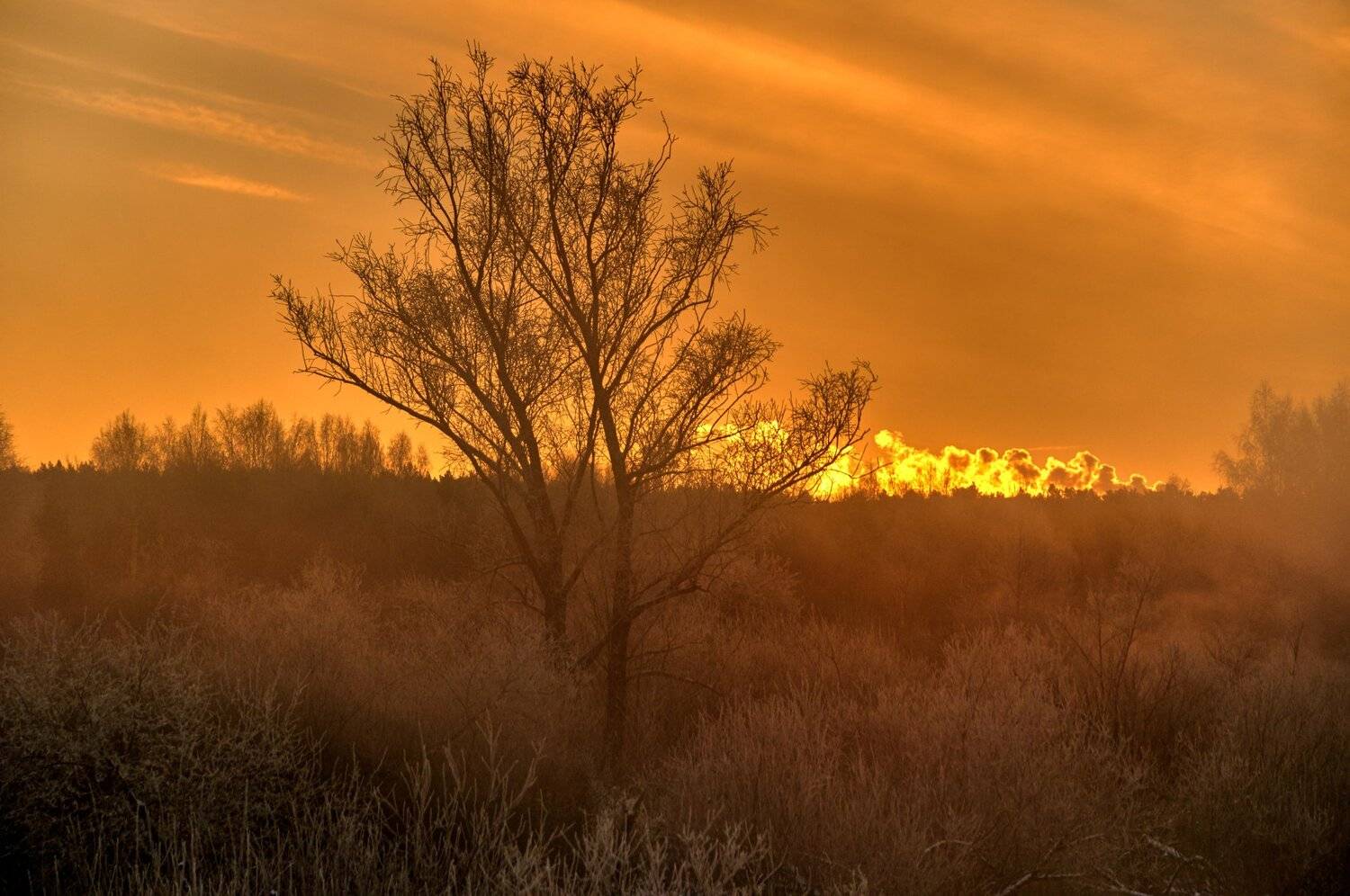 , Олег Богданов