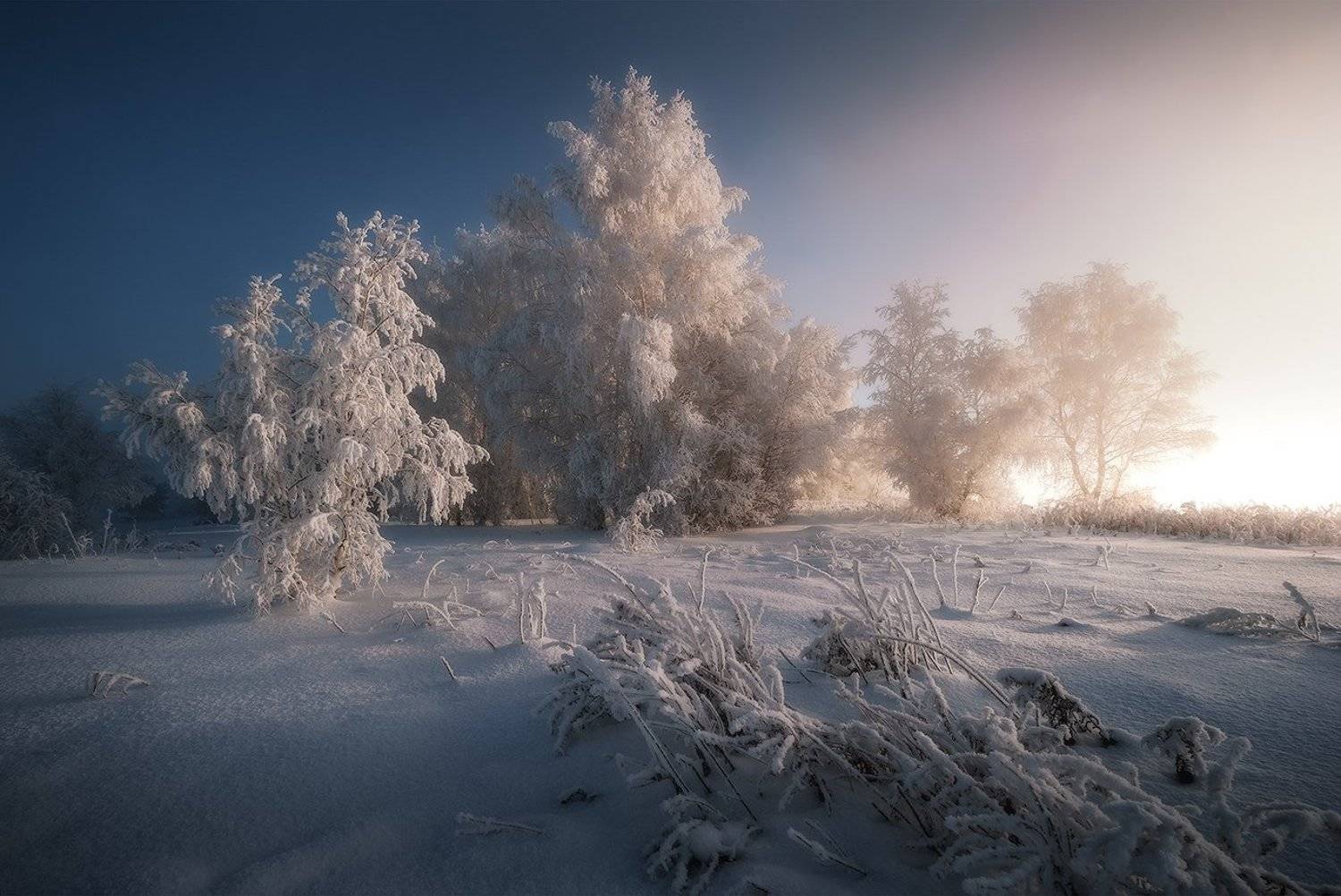 , Константин Пинигин