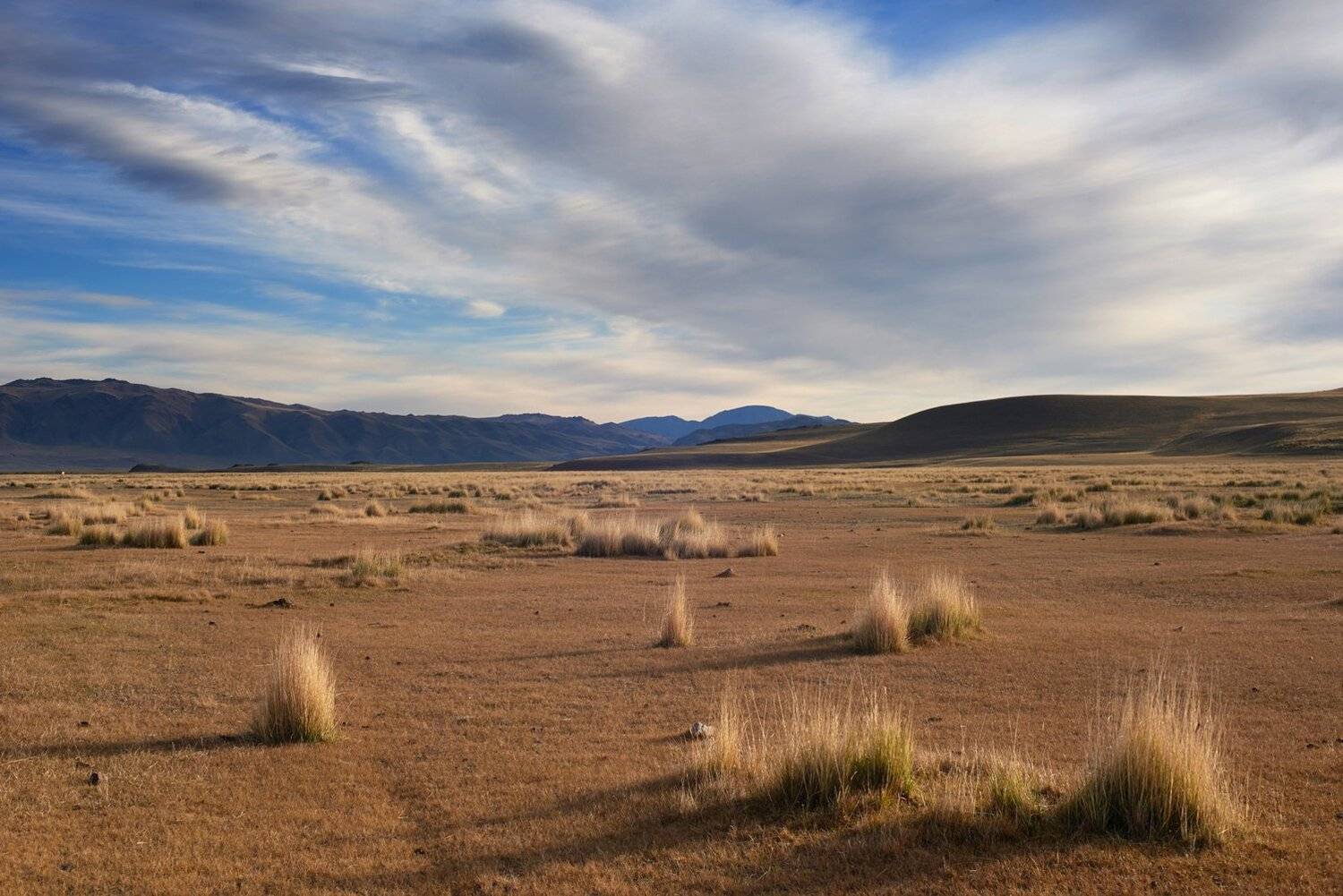 , Сергей Романчук