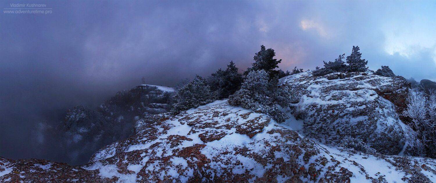 , Vladimir Kushnarev