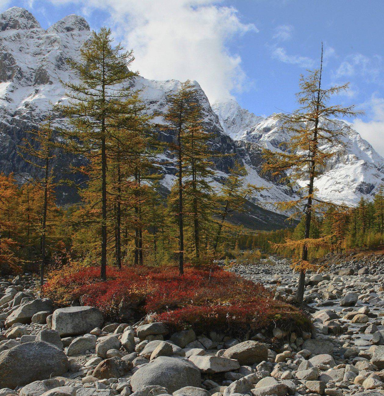 , Виктор Белименко