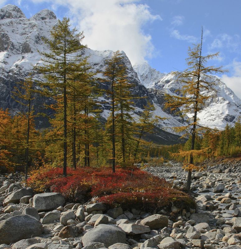Островок фото превью