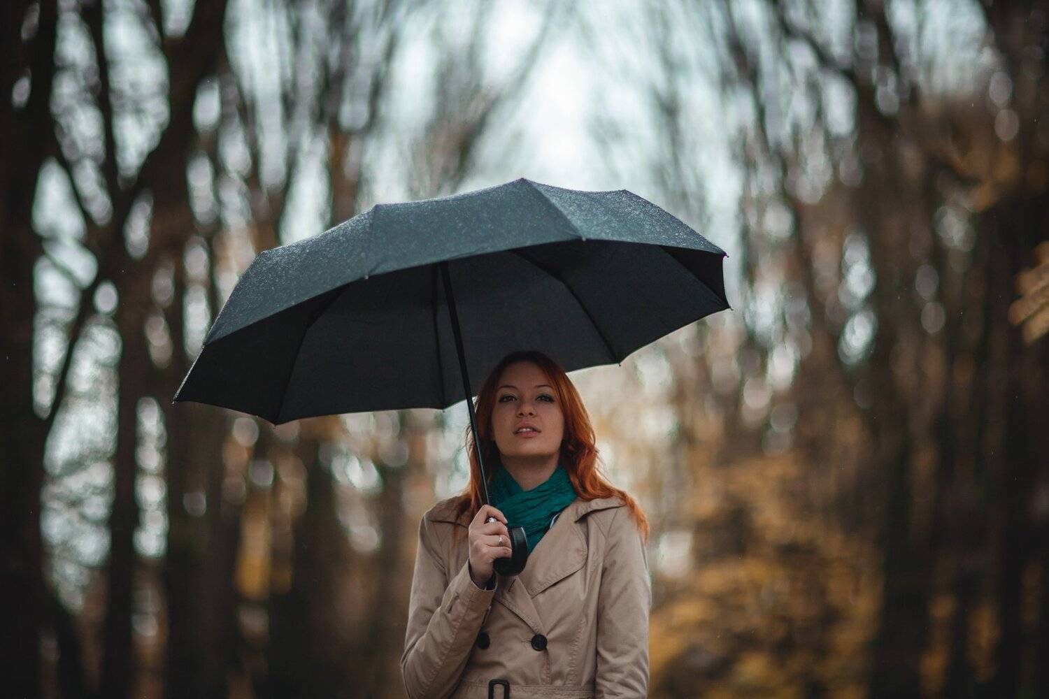 , Иван Лошицкий