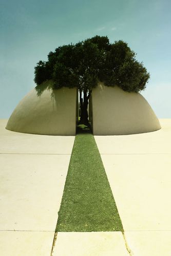 Древо познания