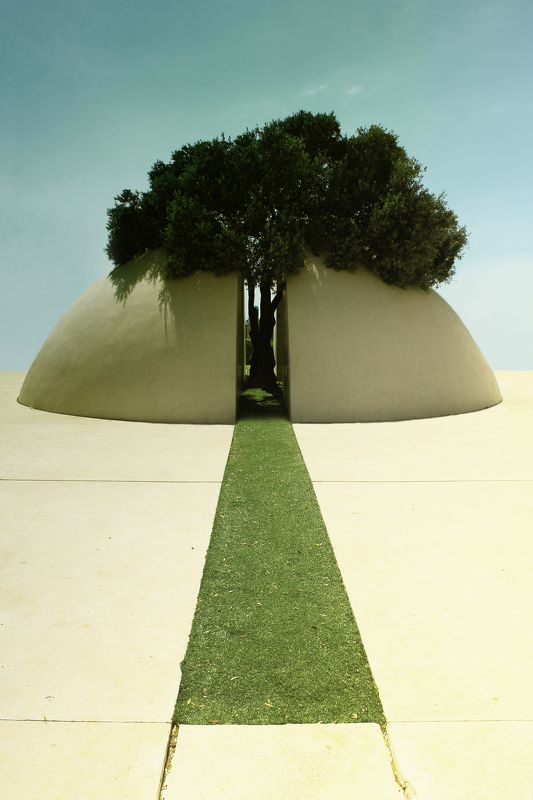 природа, пейзаж, город, красота, деревья, солнце Древо познания фото превью