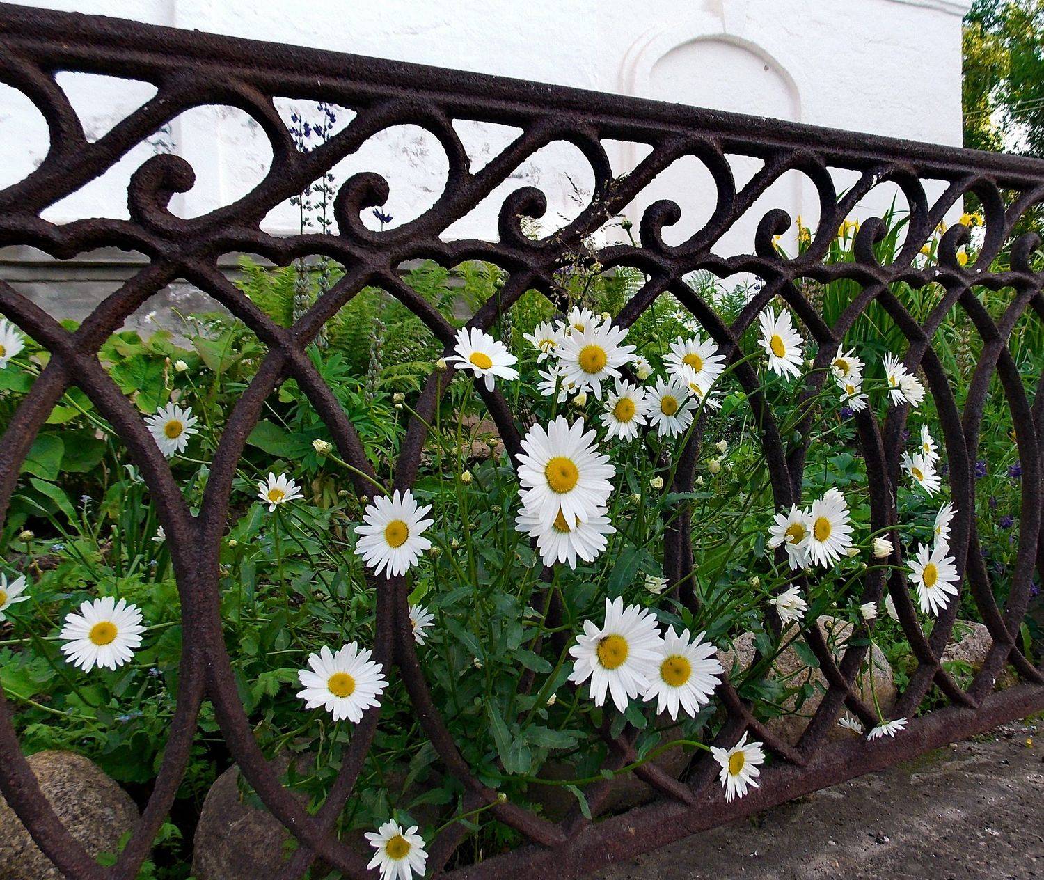 , Марина Никулина