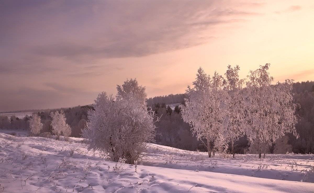, Николай Морский