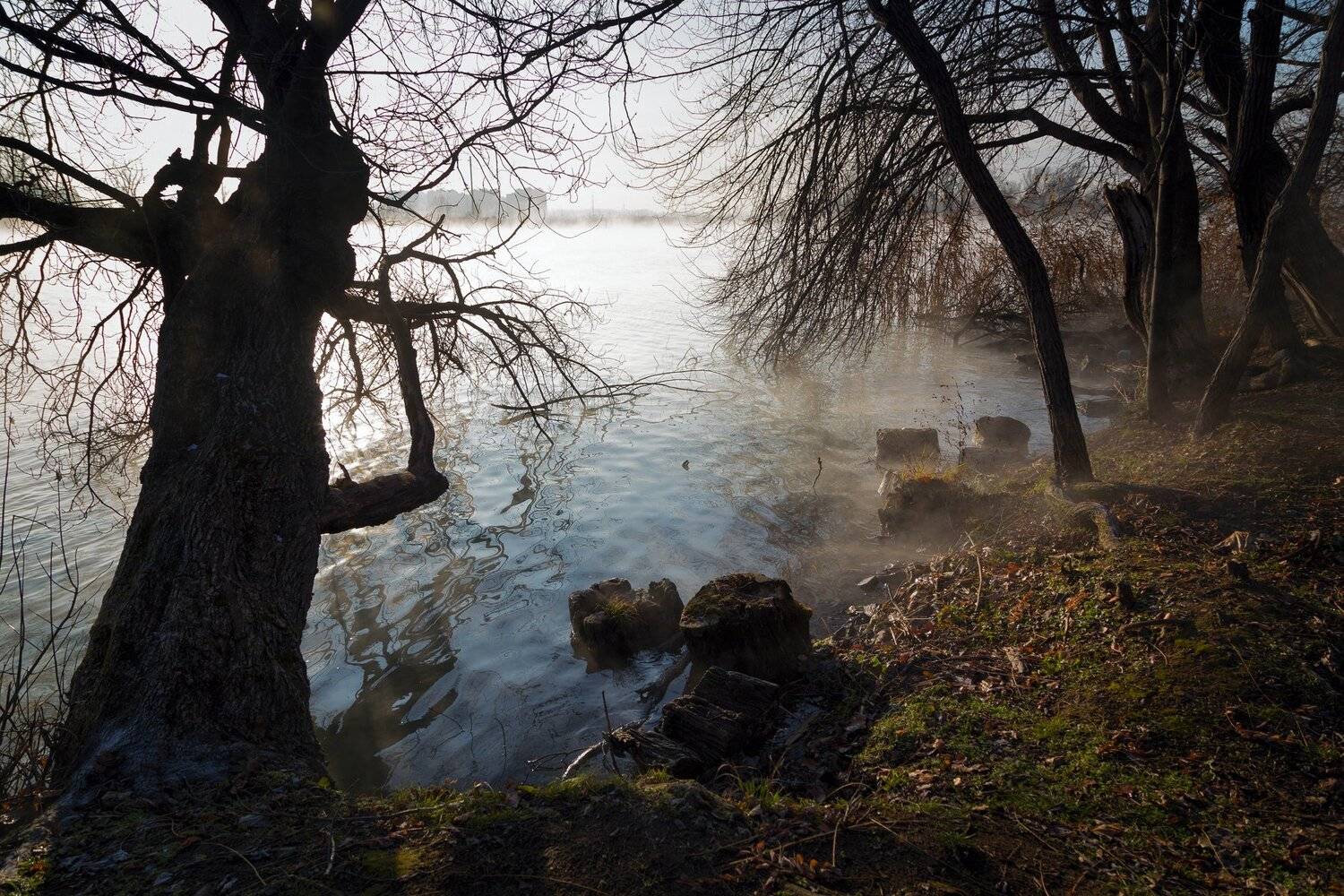 , Алексей Рыльский