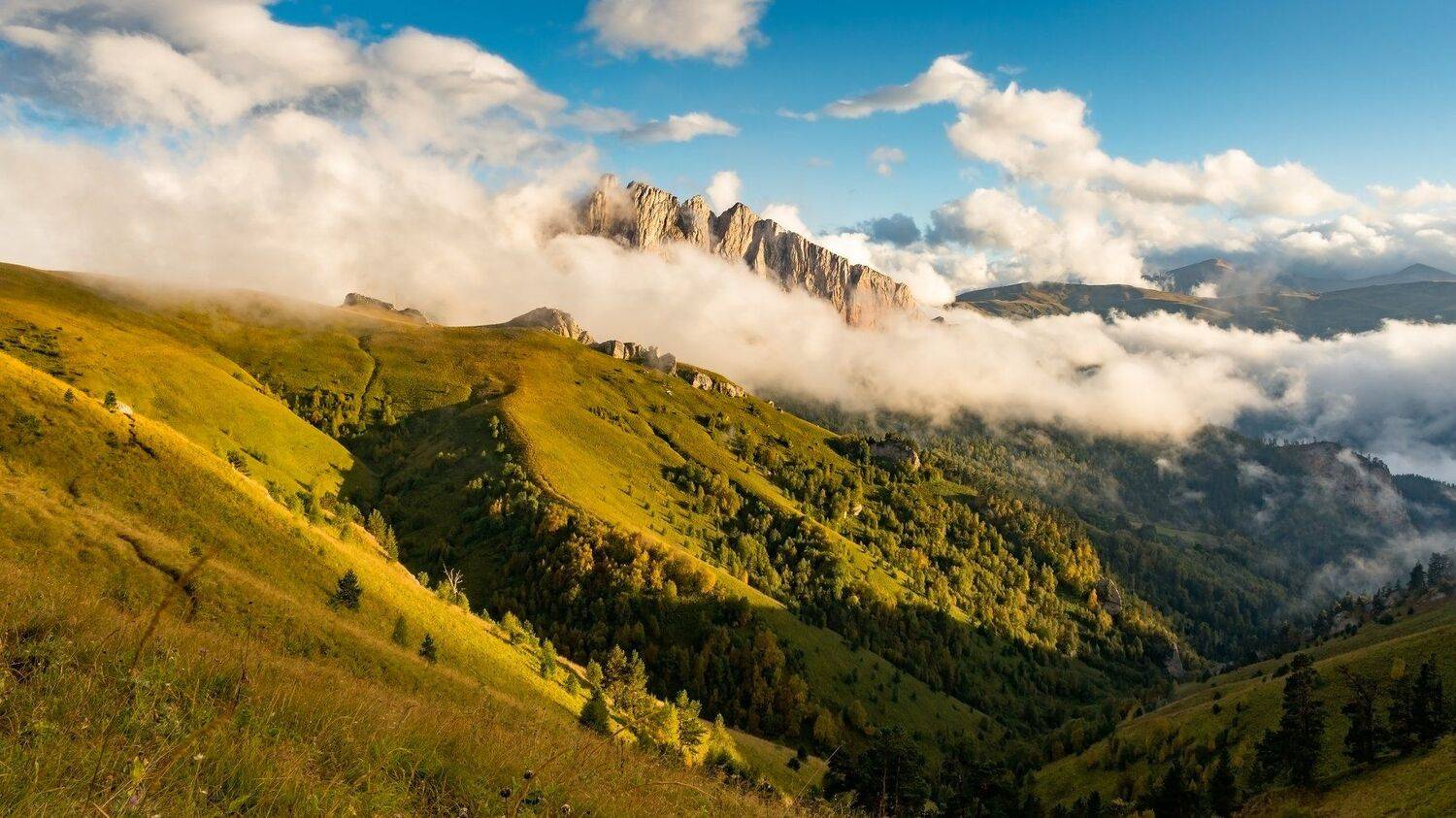 , Alexander Plekhanov