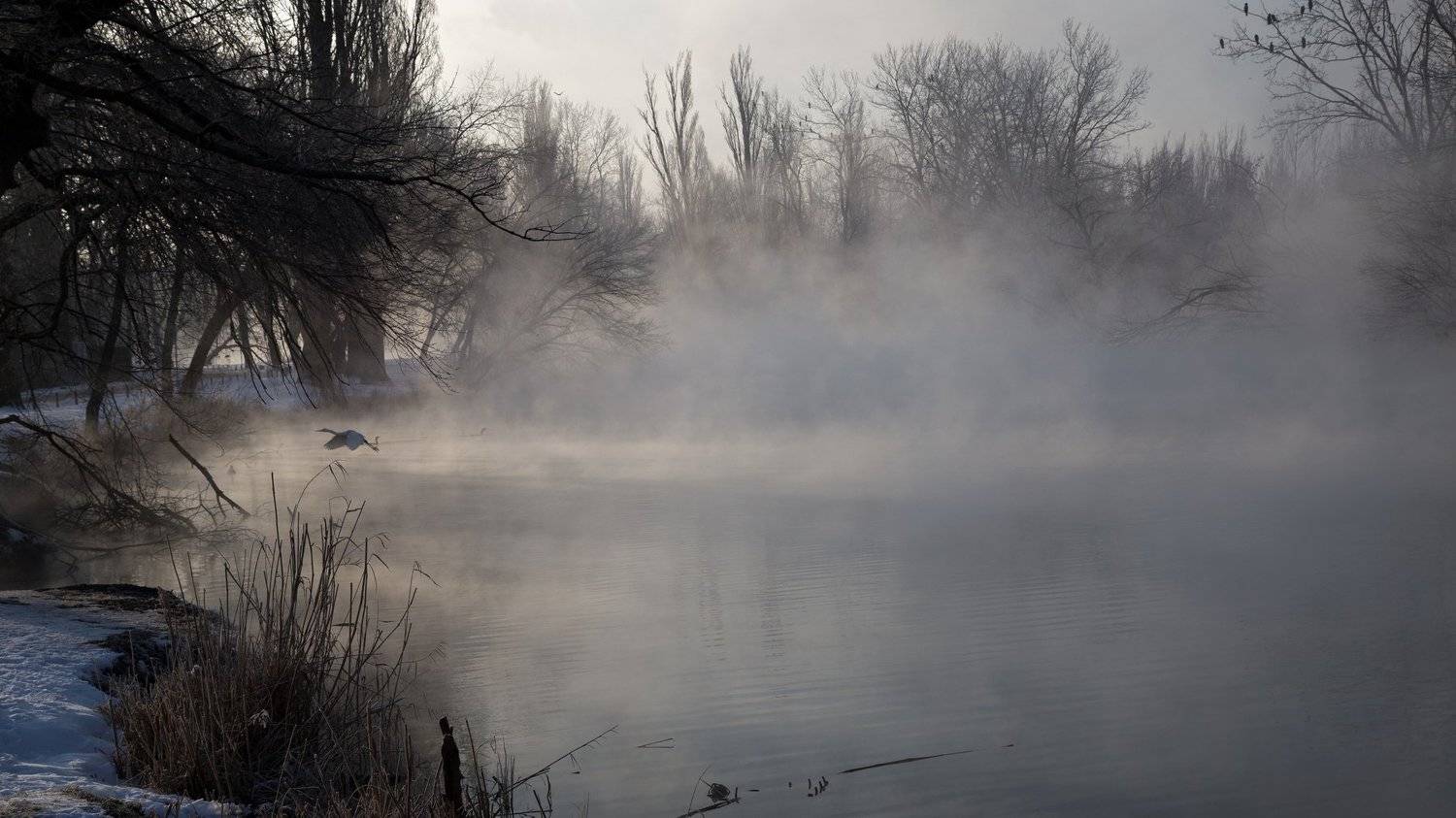 , Алексей Рыльский