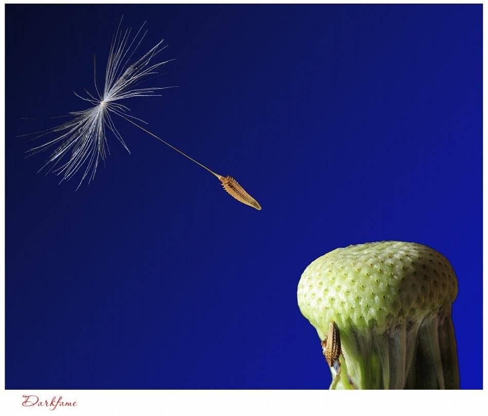 , Георги Славов