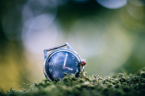 Ещё вчера-сегодня было завтра...