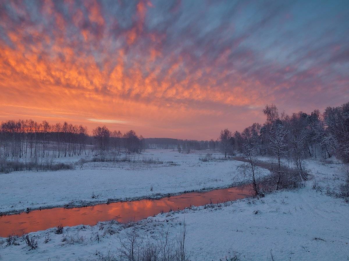 , Владимир Перепечаев