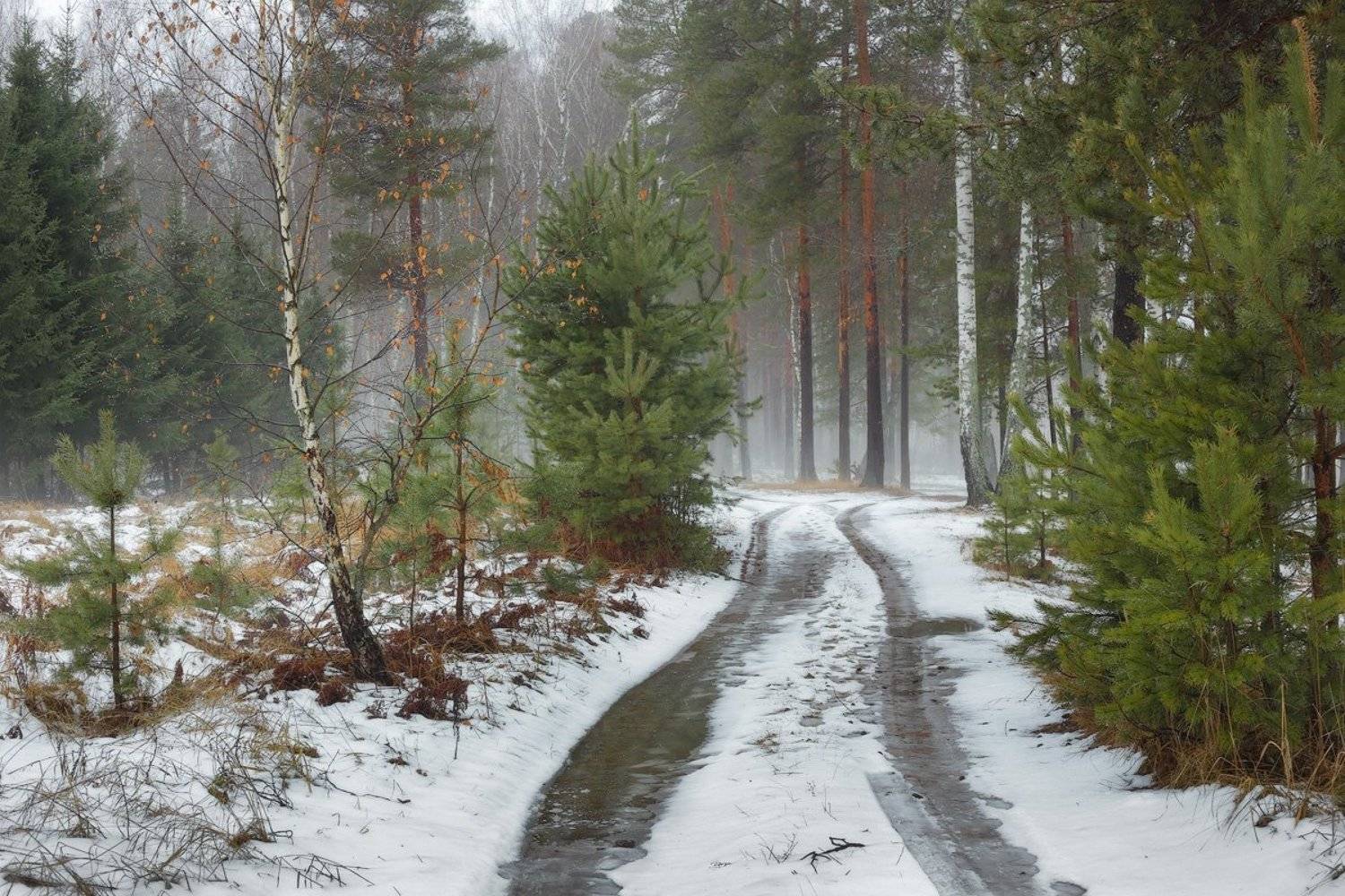 , Дмитрий Алексеев