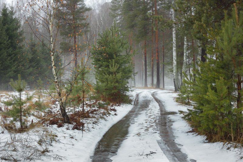 Оттепель фото превью