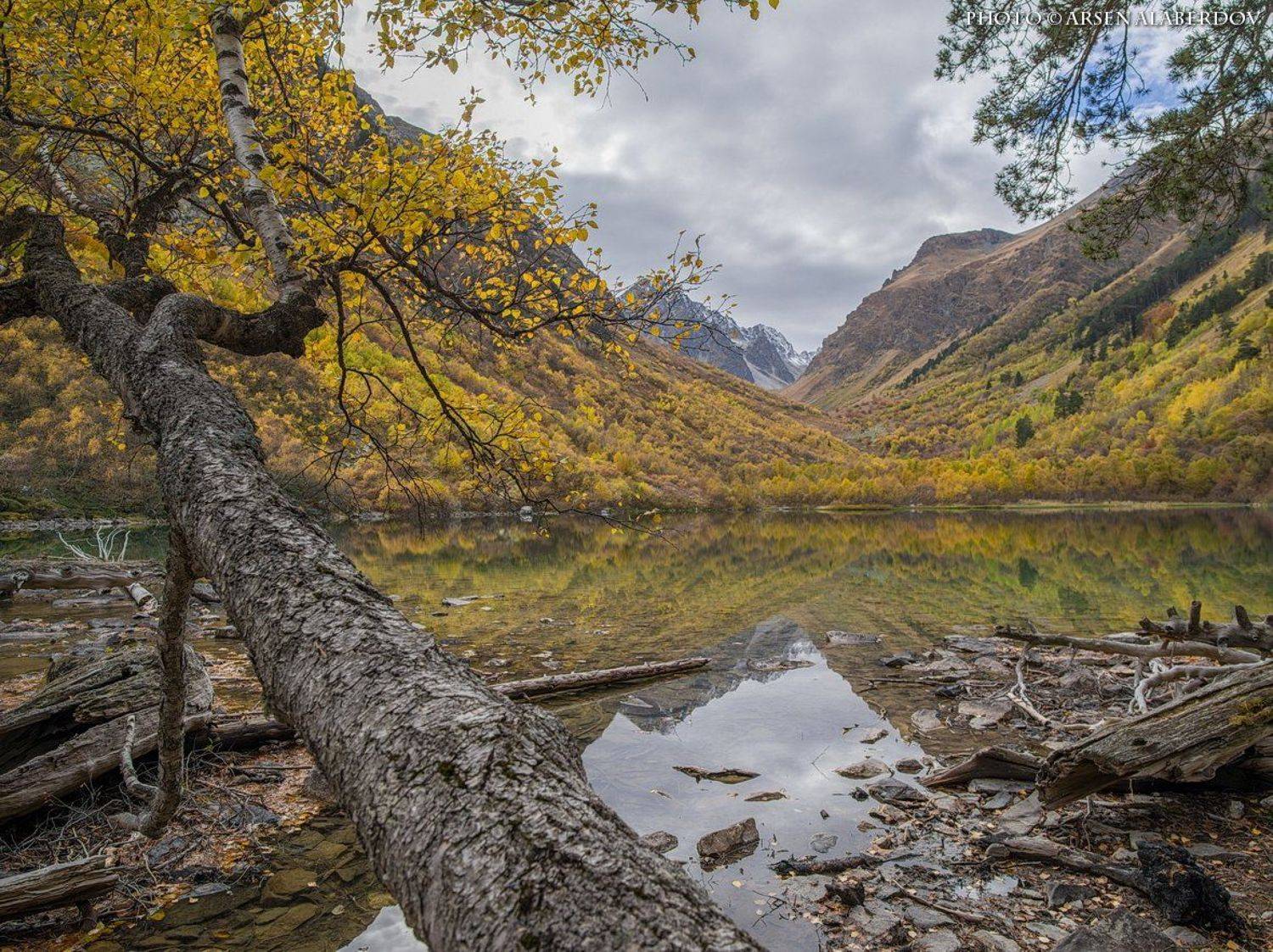 Pentax 645z, ГОРНОЕ ОЗЕРО, ГОРНЫЕ ВЕРШИНЫ, Горы, Дерево, Камни, Карачаево-Черкесия, Озеро, Осень, Отражение, Северный Кавказ, Средний формат, Теберда, Тебердинский заповедник, Арсен Алабердов