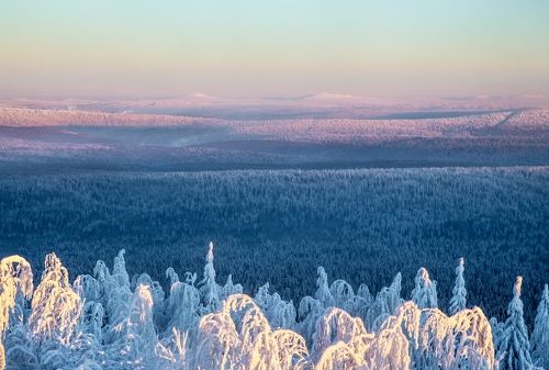 Басеги