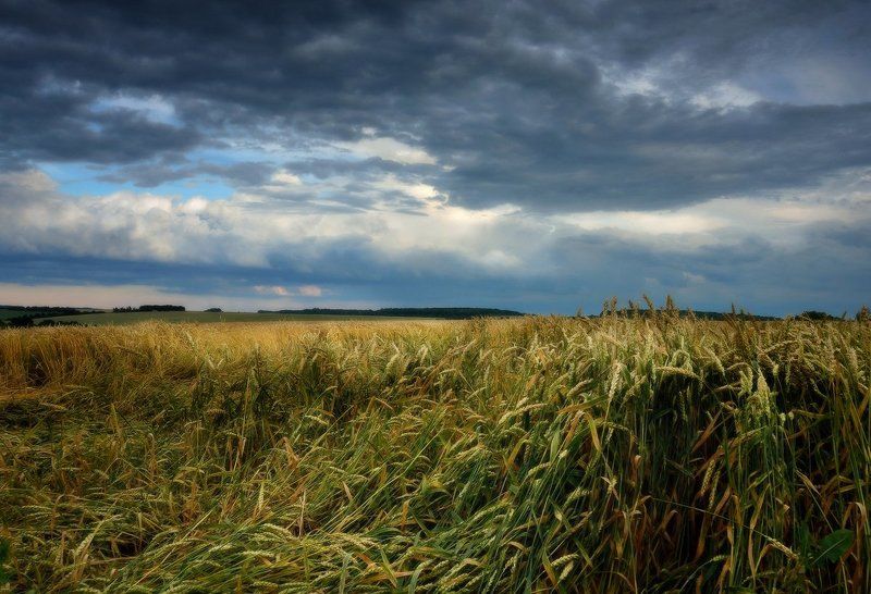 В грозу фото превью