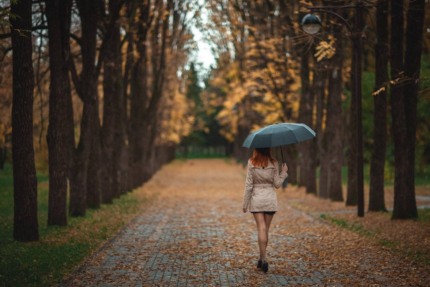 , Иван Лошицкий