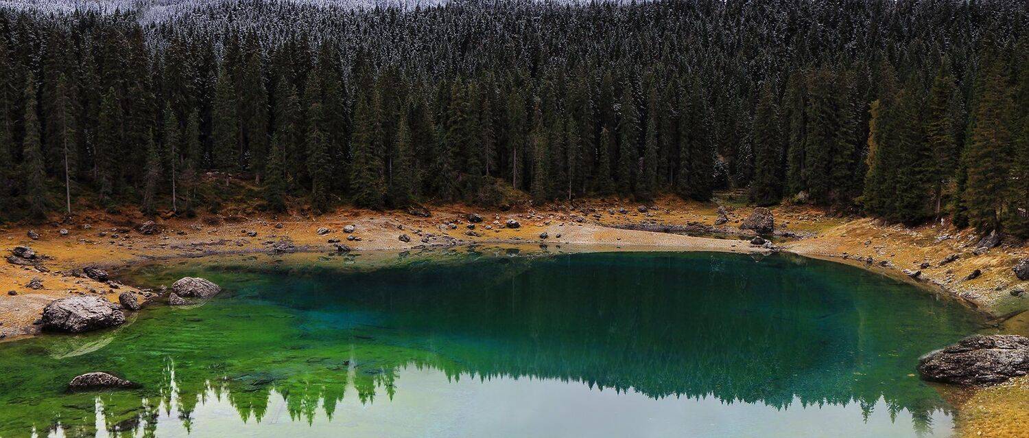 , Игорь Дубровский