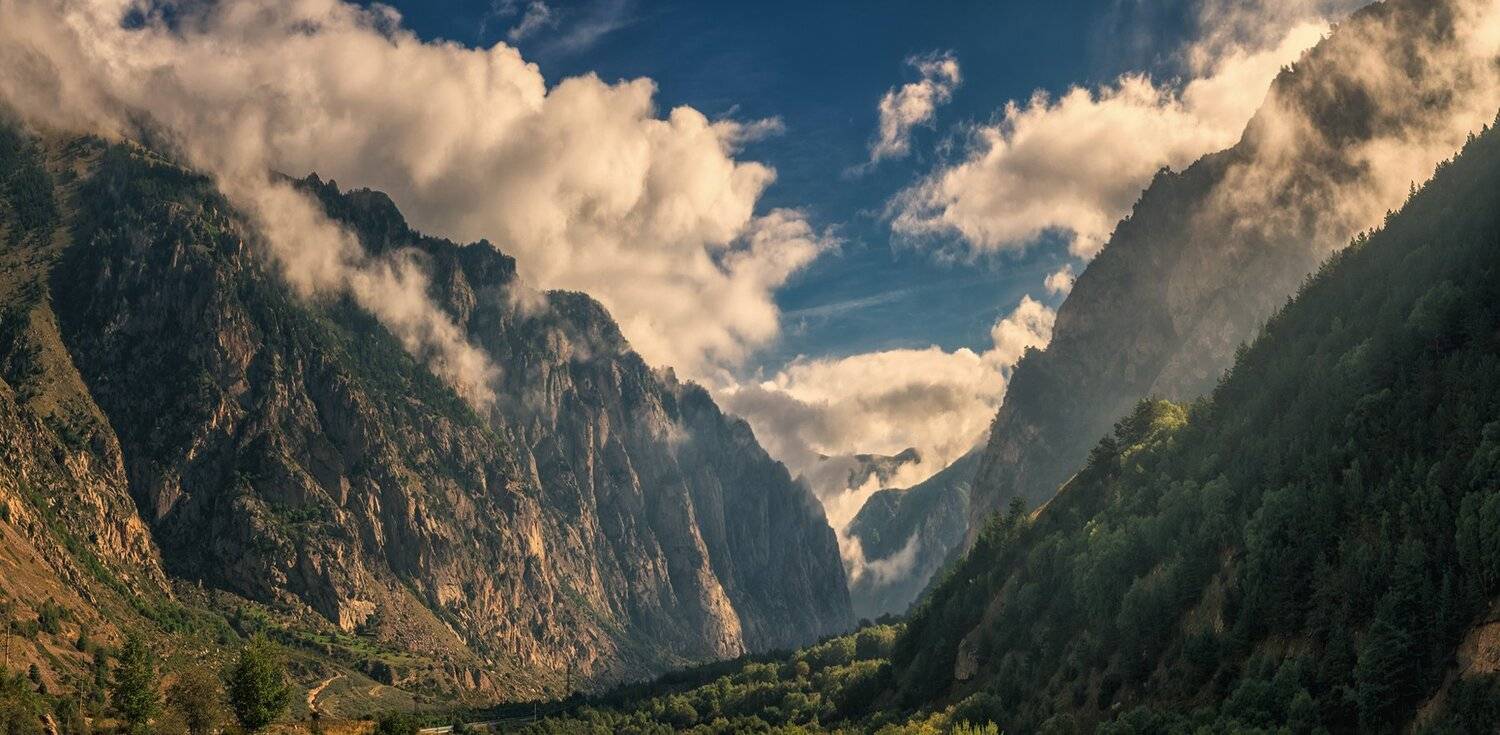 , Игорь Мелекесцев