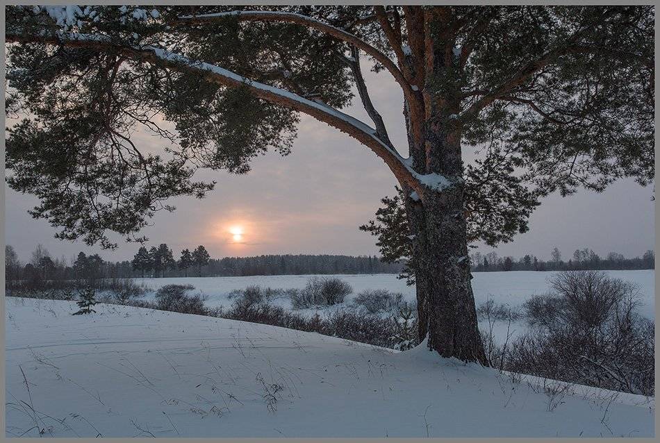 , Поташев Александр