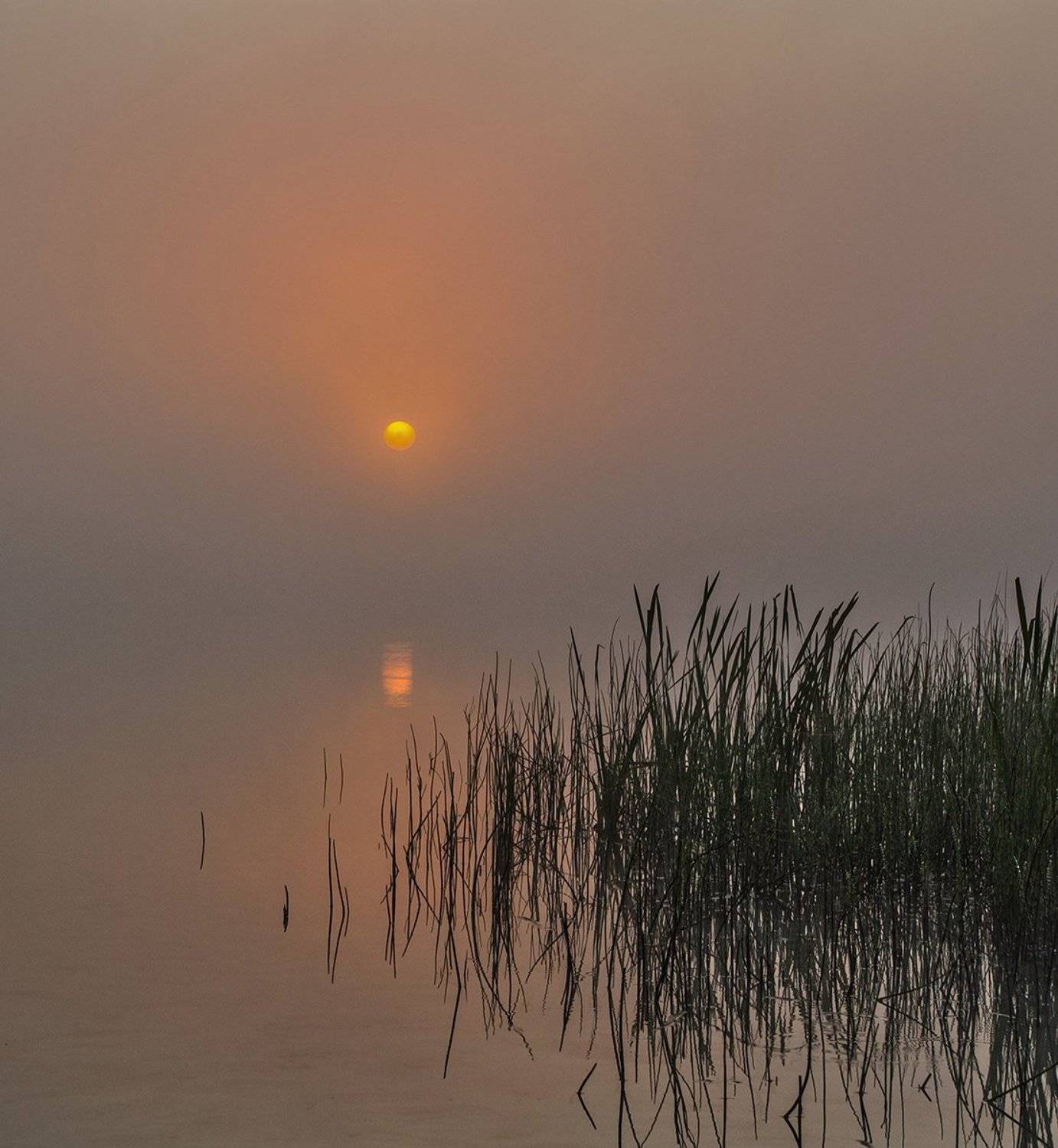 рассвет,туман,утро,озеро, alexOmRam