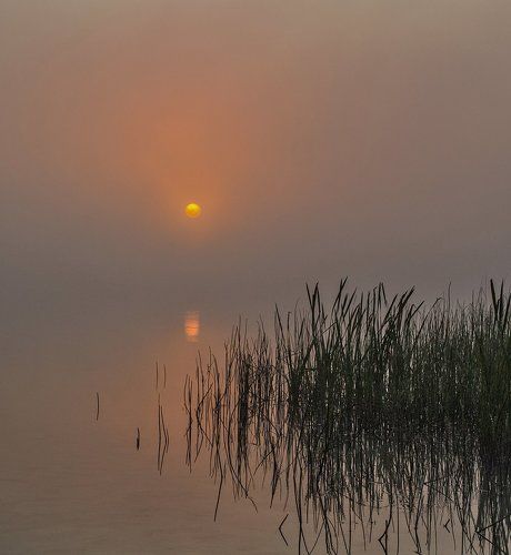 утро туманное