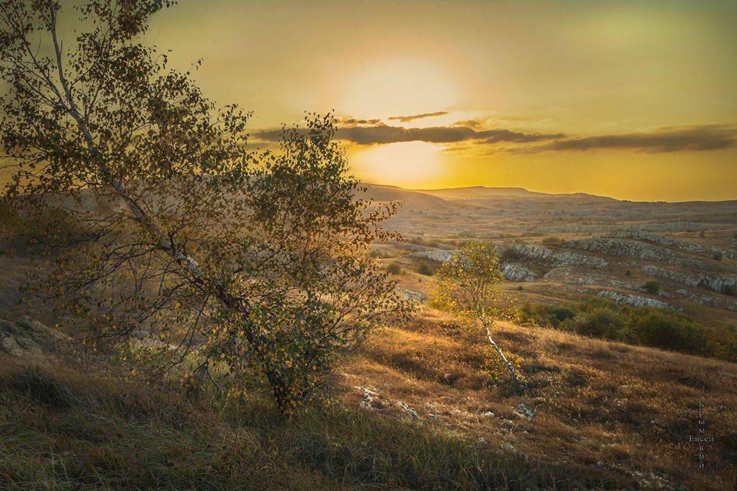 , Борис Костарев