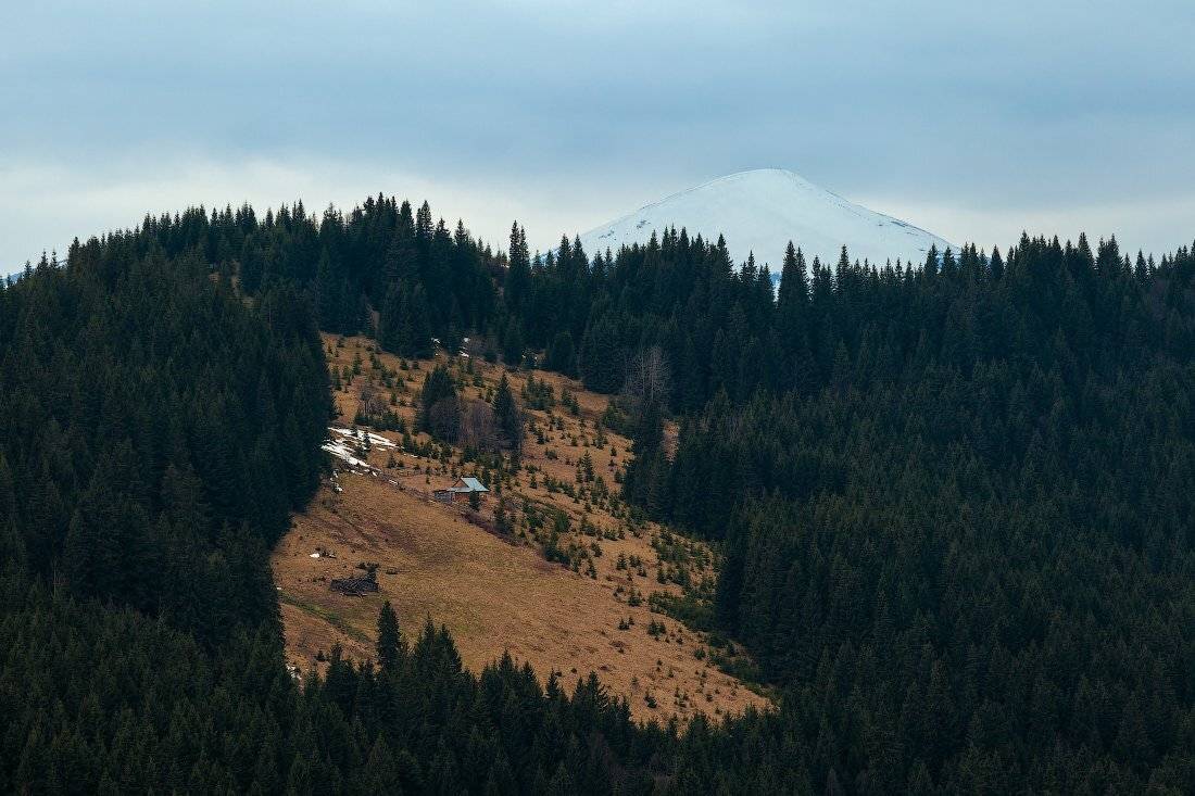 , Ярослав Тюрменко (Jaremi)