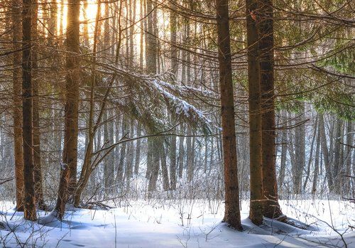 / Просто зимний пейзажик /