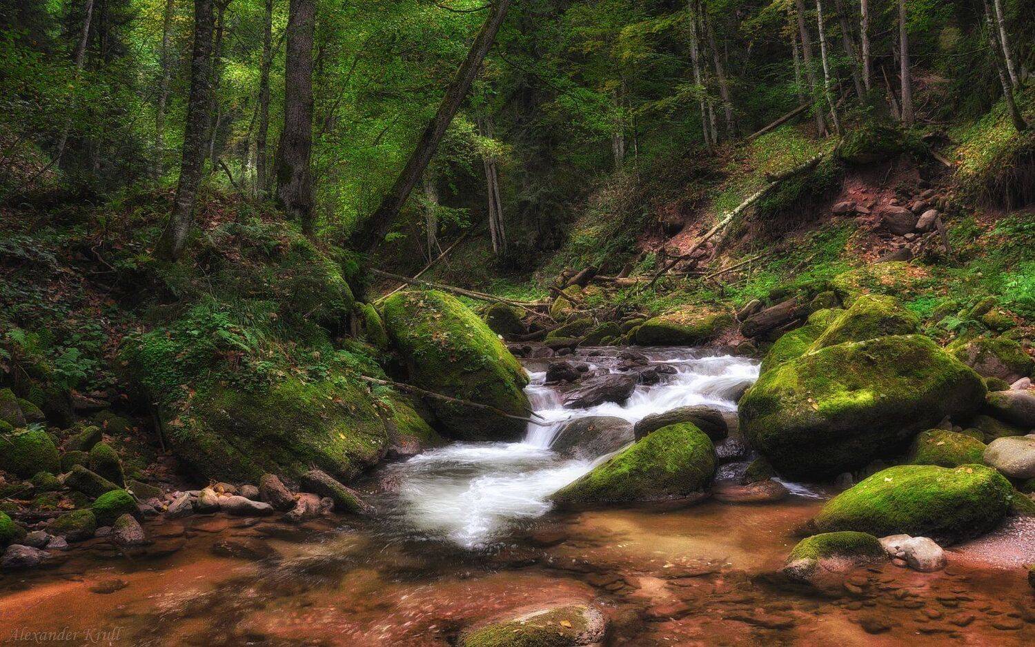 кавказ, кчр, шантацара, Александр Круль