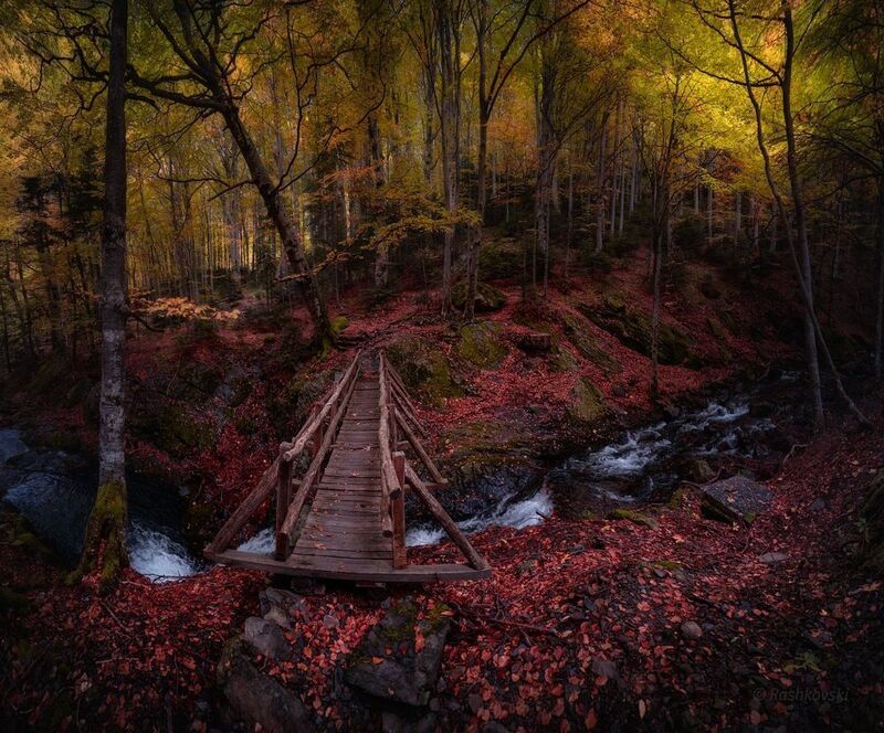 Fall's colors
