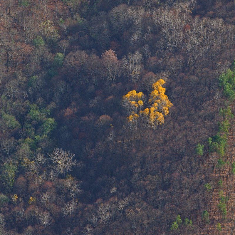 Осень фото превью