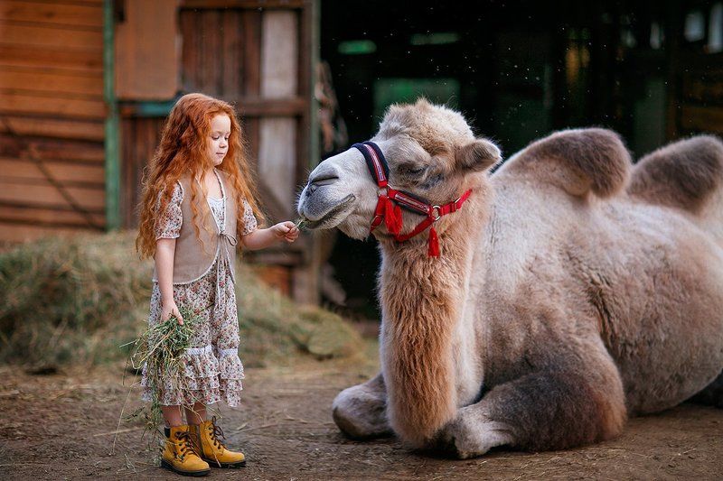 фото превью