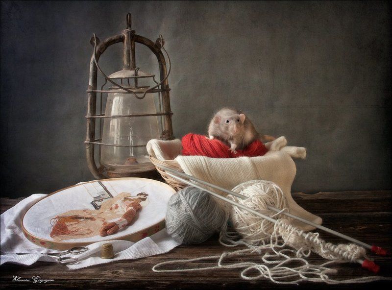 бублики, дамбо, корзина, кот, кошка, крыса, натюркотики, обед, прялка, рукоделие, трапеза, хлеб, чай Приключения Фредди продолжаются фото превью