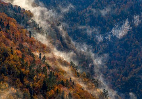 После дождя.