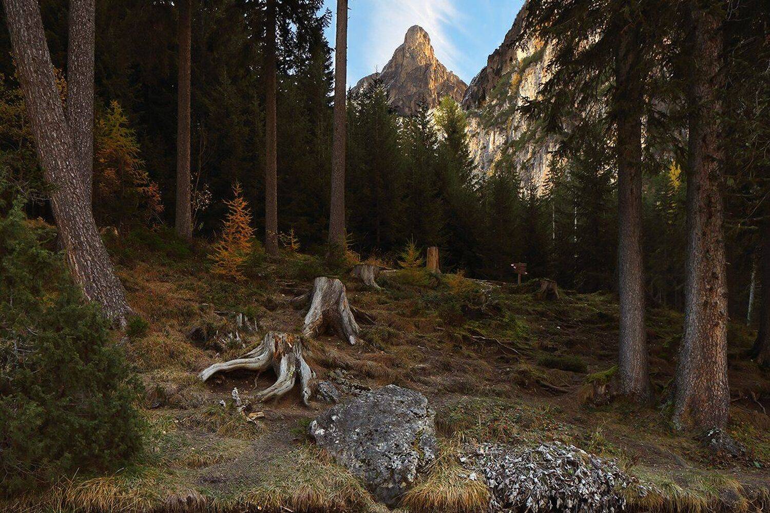 , Игорь Дубровский