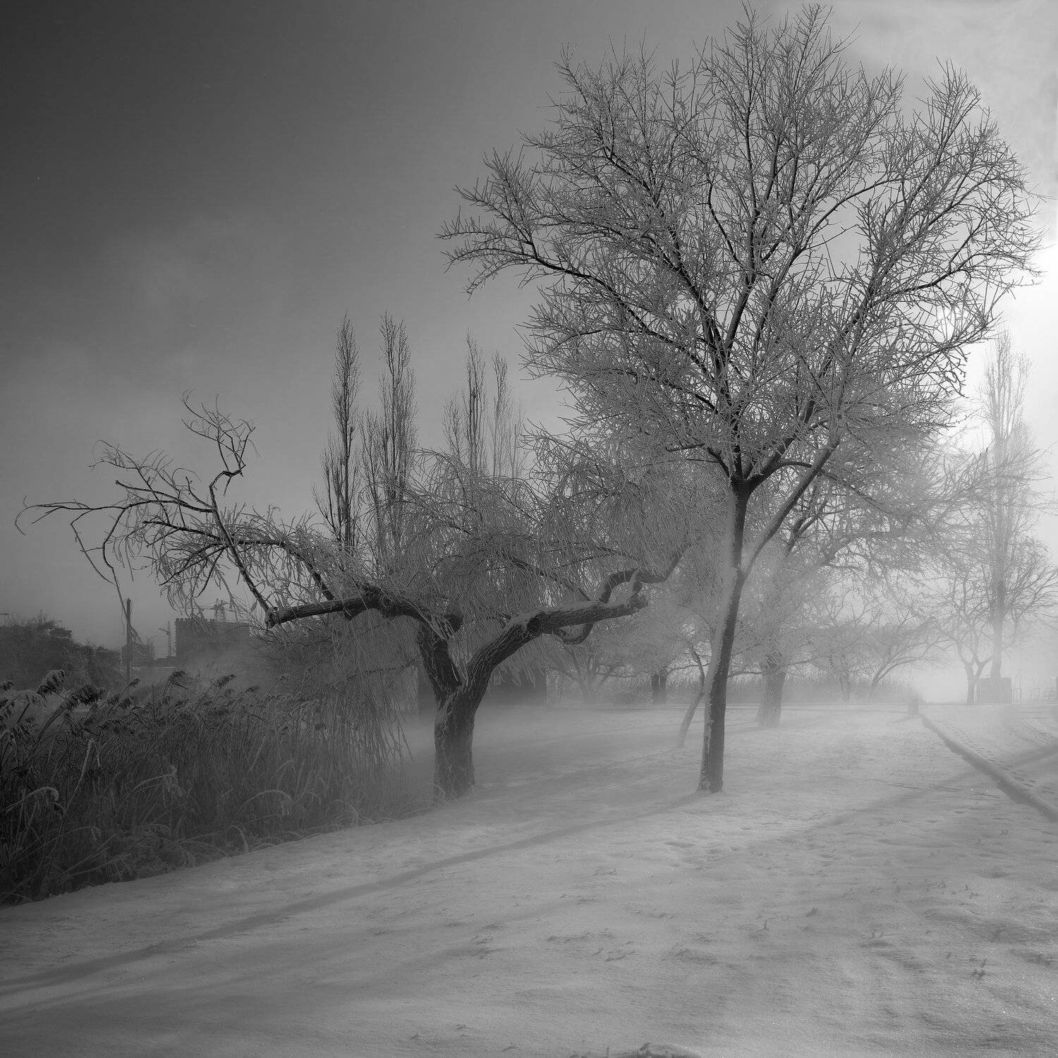 , Алексей Рыльский